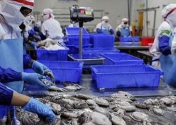 Ekspor Perikanan Meningkat Tembus 65,3 T, Ditengah Situasi Pandemi Global