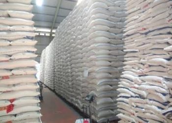 KEMENTAN Pastikan Stok Pangan Aman, Saat Nataru