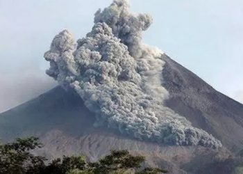 Kementan Terjunkan Tim Khusus Identifikasi Kerusakan Sektor Pertanian Pasca Erupsi Merapi