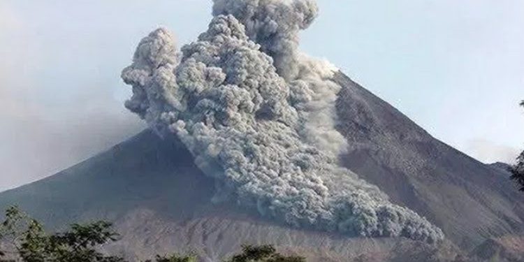 Kementan Terjunkan Tim Khusus Identifikasi Kerusakan Sektor Pertanian Pasca Erupsi Merapi