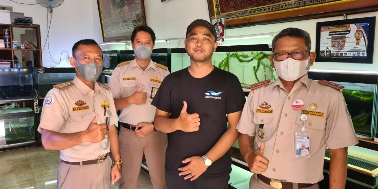 KKP Gerak Cepat Tanggapi Keluhan Pelaku Usaha Ikan Hias di Medsos