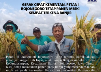 Gerak Cepat Kementan, Petani Bojonegoro Tetap Panen Meski Sempat Terkena Banjir