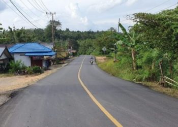 Dukung Kelancaran Konektivitas Antar Kabupaten di Kalimantan Tengah, Kementerian PUPR Tingkatkan Kualitas 11 Ruas Jalan Nasional