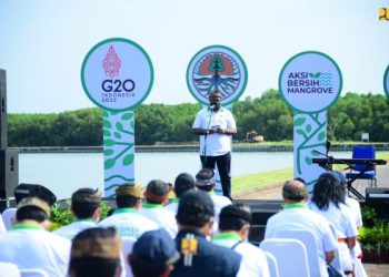 Dukung Penyelenggaraan KTT G20 di Bali, Kementerian PUPR Optimalkan Penggunaan Material Alami dalam Penataan Kawasan Mangrove Ngurah Rai