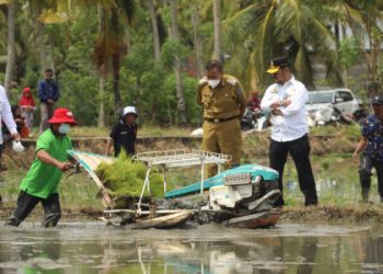 Mentan SYL Dorong Petani Bone Tingkatkan Produksi Padi Dengan IP 400