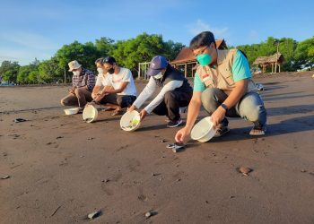 KKP Apresiasi Upaya Perguruan Tinggi dan Penggiat dalam Konservasi Penyu