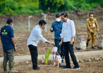 Presiden Jokowi dan Mentan SYL Tanam Jagung di Kawasan Food Estate Belu NTT