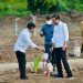 Presiden Jokowi dan Mentan SYL Tanam Jagung di Kawasan Food Estate Belu NTT
