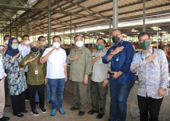 Jelang Ramadhan Dan Lebaran, Sapi Asal Jatim Siap Penuhi Kebutuhan Jabodetabek Dan Bandung Raya