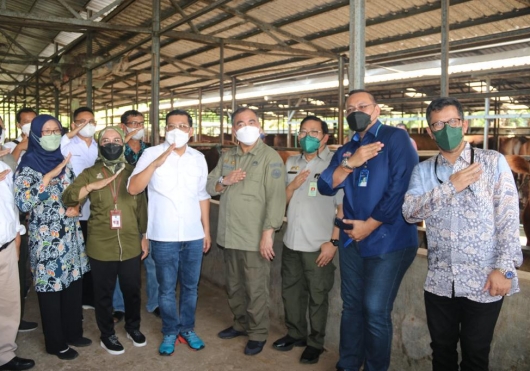 Jelang Ramadhan Dan Lebaran, Sapi Asal Jatim Siap Penuhi Kebutuhan Jabodetabek Dan Bandung Raya