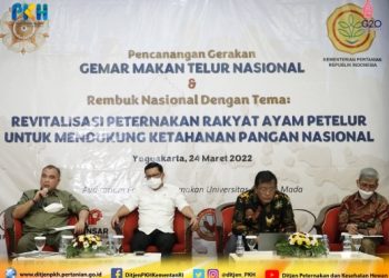 Kementan Dorong Penguatan Hilirisasi Dan Penataan Rantai Pasok Telur Ayam Ras