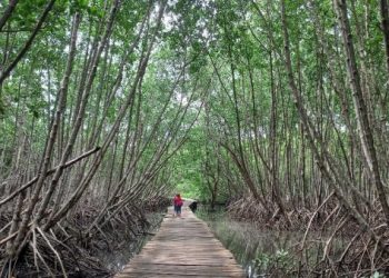 Kementerian PUPR Percepat Pembangunan Infrastruktur Pendukung KTT G20 Bali