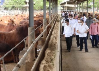 Kunjungi Peternakan Sapi Di Tangerang, Mentan SYL Pastikan Stock Sapi Siap Potong Aman Hingga Lebaran