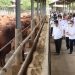Kunjungi Peternakan Sapi Di Tangerang, Mentan SYL Pastikan Stock Sapi Siap Potong Aman Hingga Lebaran