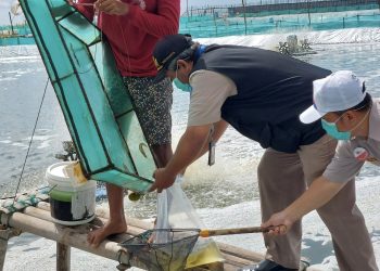 Pastikan Keamanan Produk, KKP Monitoring Kegiatan Budidaya Ikan di Cilacap