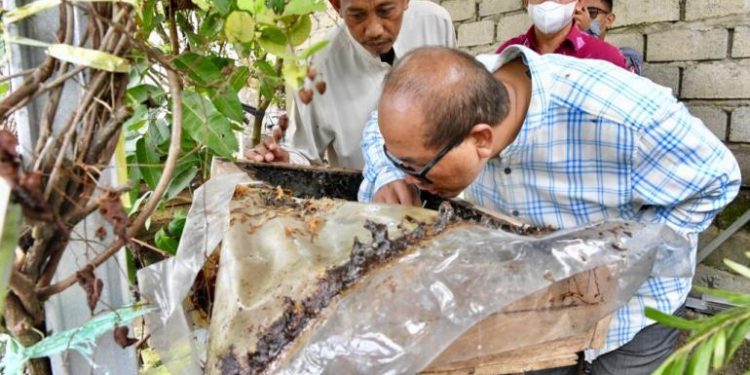 SesKemenkopUKM Dukung Pengembangan Usaha Madu Kalulut Untuk Perkuat Santripreneur di Banjarmasin