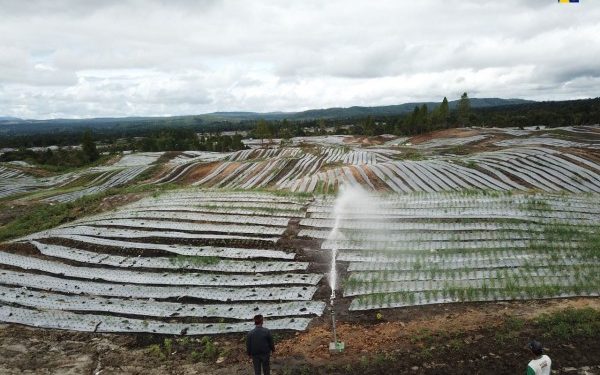 Wujudkan Ketahanan Pangan, Kementerian PUPR Lanjutkan Pembangunan Sejumlah Infrastruktur di Food Estate Humbang Hasundutan
