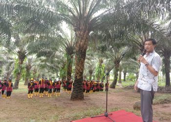 Di Rakor Program PSP, Mentan SYL Dorong Penguatan Cadangan Pangan
