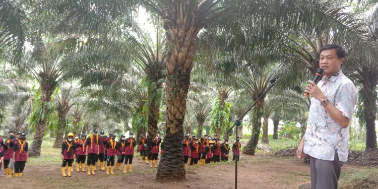 Di Rakor Program PSP, Mentan SYL Dorong Penguatan Cadangan Pangan