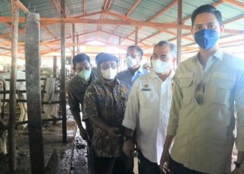 Komisi IV DPR RI Apresiasi Program Desa Korporasi Sapi Kementan