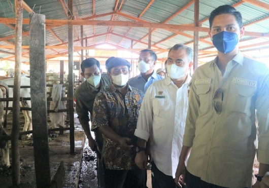 Komisi IV DPR RI Apresiasi Program Desa Korporasi Sapi Kementan