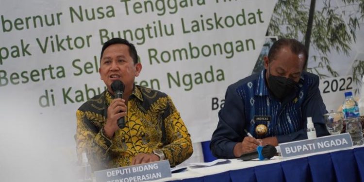 KemenKopUKM Dorong Koperasi Sektor Produksi Bambu Kab. Ngada
