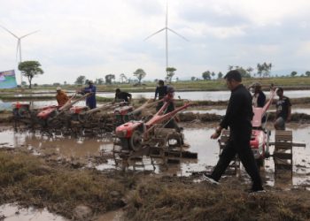 Kementan Dorong Jeneponto Tingkatkan Indeks Pertanaman