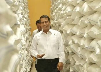 Menuju Swasembada Pangan, Stok Cadangan Beras Pemerintah Mencapai 3,18 Juta Ton