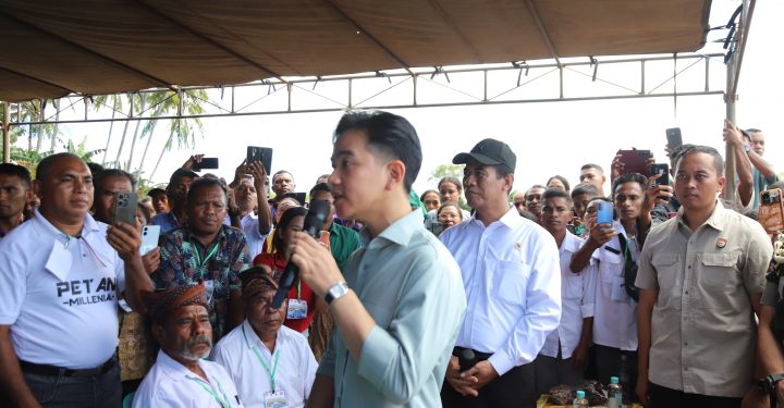 Wapres Gibran: “Pengairan Masih Jadi Kendala Utama Yang Menteri Pertanian Harus Carikan Solusinya Di Kabupaten Kupang NTT”
