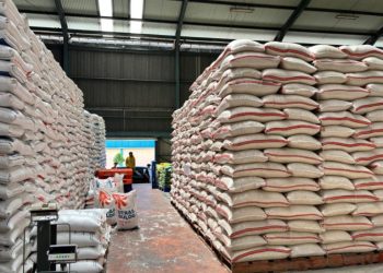 Data BPS: Sudah Tidak Lagi Impor Beras Dan Pastikan Swasembada Pangan Nasional Tercapai Dalam Waktu Dekat