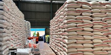 Data BPS: Sudah Tidak Lagi Impor Beras Dan Pastikan Swasembada Pangan Nasional Tercapai Dalam Waktu Dekat